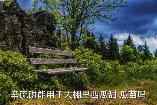 辛硫磷能用于大棚里西瓜甜 瓜苗嗎