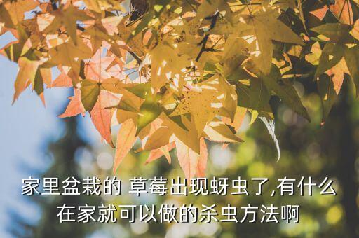 草莓打什么農藥驅蟲,草莓苗用什么方法驅蟲