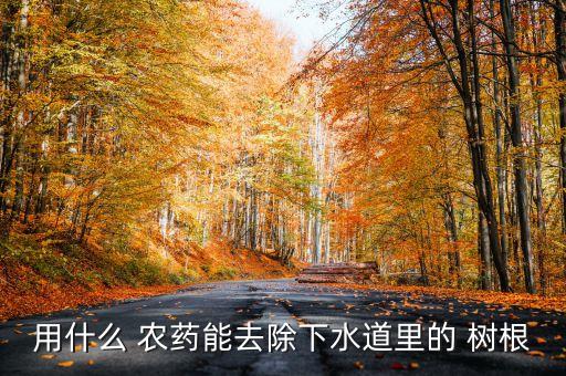 用什么 農藥能去除下水道里的 樹根