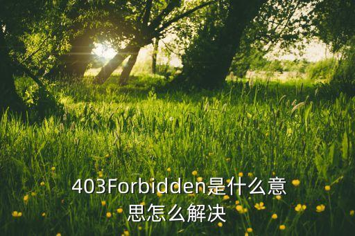 403Forbidden是什么意思怎么解決