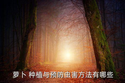 蘿卜 種植與預防蟲害方法有哪些