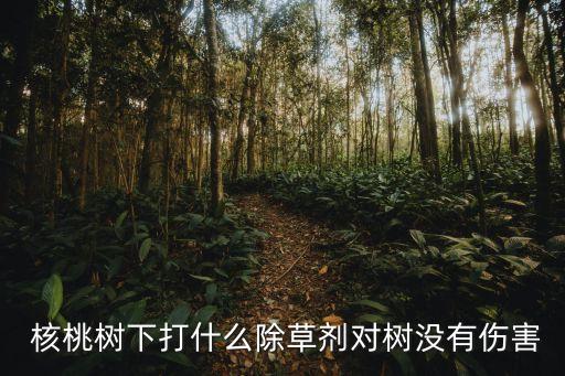 核桃樹現在打什么農藥,什么農藥能殺死核桃樹