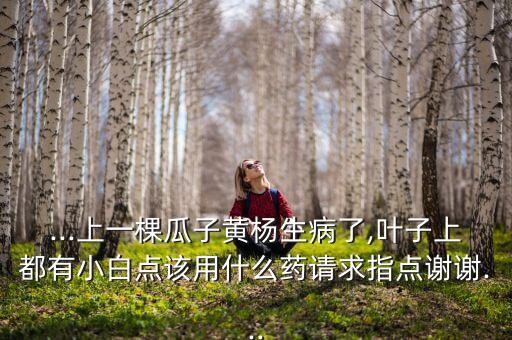 ...上一棵瓜子黃楊生病了,葉子上都有小白點該用什么藥請求指點謝謝...