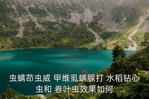 水稻卷葉蟲用什么農藥,防治水稻卷葉蟲最好是什么農藥