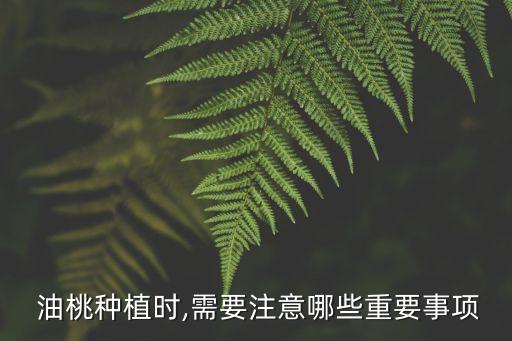 油桃四次打什么農藥,油桃打什么藥好