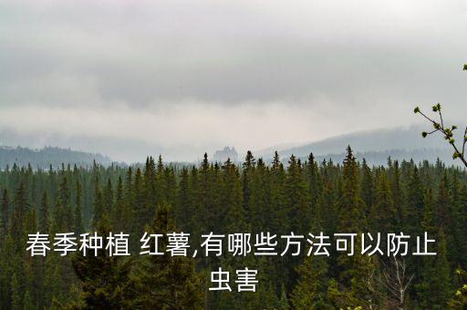 什么農藥噴了紅薯會枯萎,什么樣的紅薯沒農藥