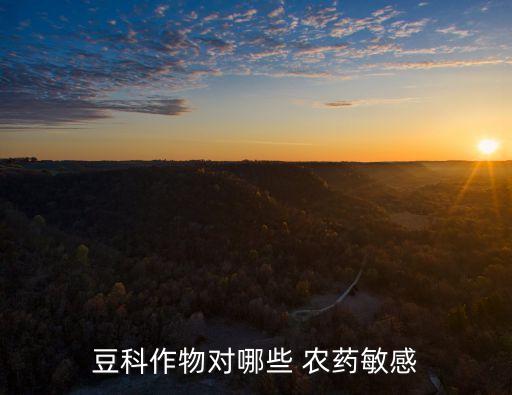 豆類打什么農藥,豆類作物不宜使用農藥