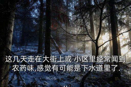 這幾天走在大街上或 小區里經常聞到 農藥味,感覺有可能是下水道里了...