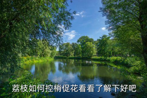 ,荔枝花期該噴什么農藥藥