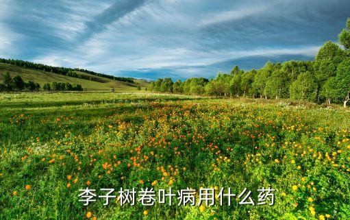 李子樹噴什么農藥好