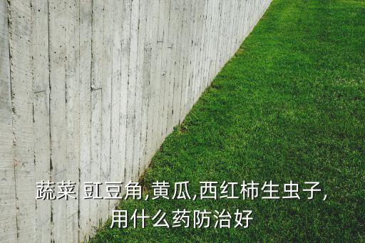 蔬菜 豇豆角,黃瓜,西紅柿生蟲子,用什么藥防治好