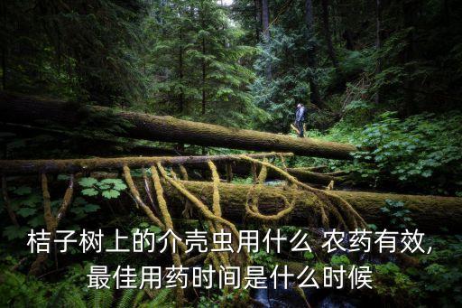 9月柑子打什么農藥,柑子樹打什么農藥