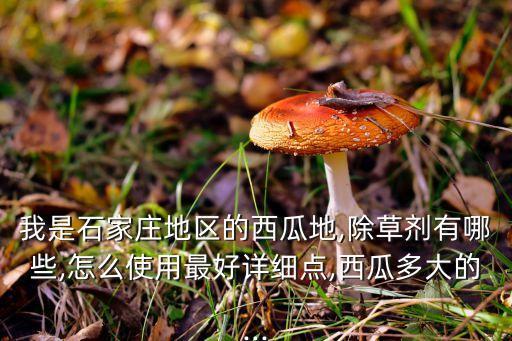 我是石家莊地區(qū)的西瓜地,除草劑有哪些,怎么使用最好詳細(xì)點(diǎn),西瓜多大的...