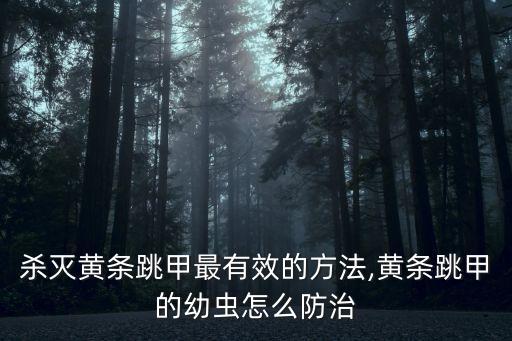 殺滅黃條跳甲最有效的方法,黃條跳甲的幼蟲怎么防治