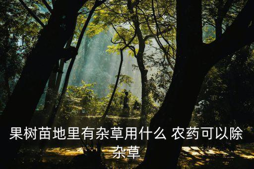 果樹苗地里有雜草用什么 農藥可以除雜草