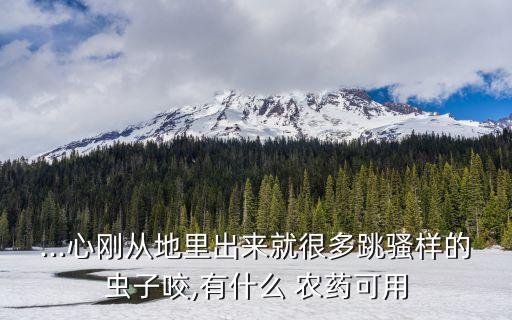 ...心剛從地里出來(lái)就很多跳騷樣的蟲子咬,有什么 農(nóng)藥可用