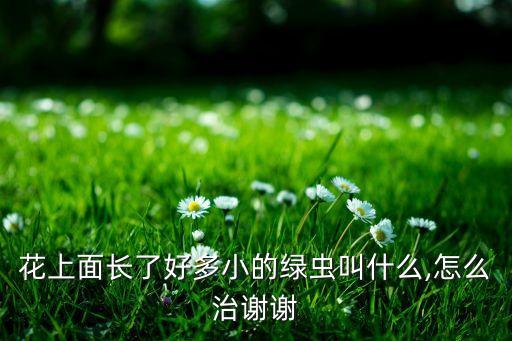 花葉有蟲子用什么農藥,花葉長蟲子了有什么辦法嗎