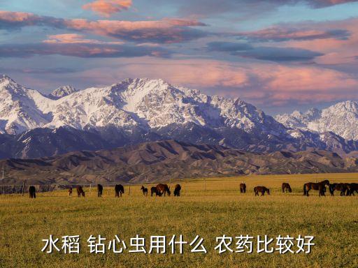 什么農藥可以打鉆心蟲,鉆心蟲用什么農藥