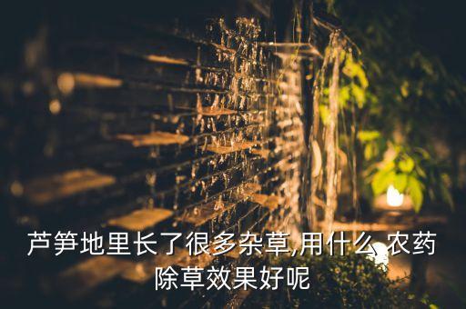 什么農藥能殺死姑勇茅草,用什么農藥可以將樹木殺死