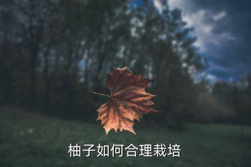 柚子如何合理栽培