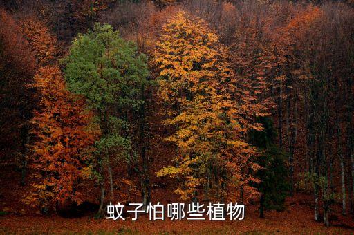 蚊蟲多最怕什么農藥殘留,水稻田最怕什么農藥殘留