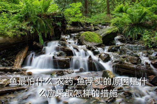 魚最怕什么 農(nóng)藥,魚浮頭的原因是什么應(yīng)采取怎樣的措施