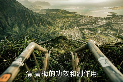 青梅主要農(nóng)藥是什么藥,農(nóng)藥3911是什么藥