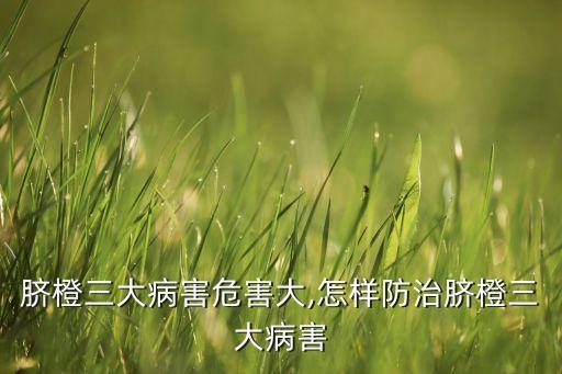 臍橙水爛用什么農(nóng)藥,臍橙樹(shù)春季打什么農(nóng)藥