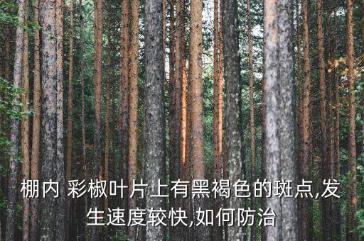 彩椒打什么農藥,彩椒不能和什么一起吃嗎