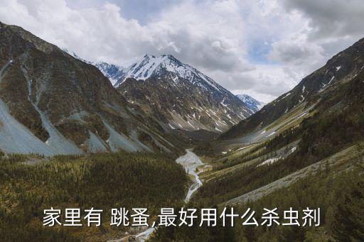 家里有 跳蚤,最好用什么殺蟲劑