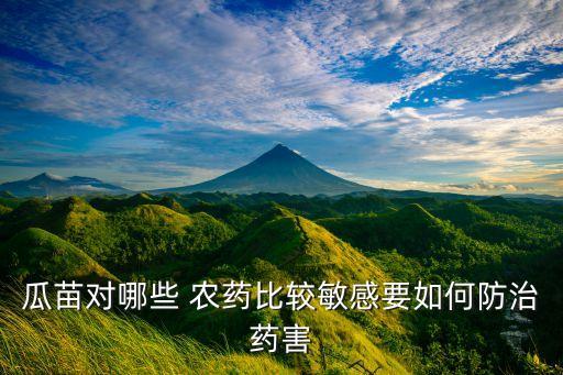 種西瓜苗用什么農(nóng)藥,西瓜苗種植