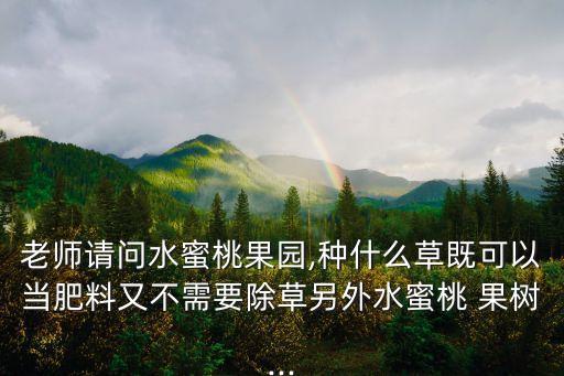 種什么果樹(shù)不打農(nóng)藥水好