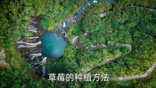 種草莓要噴什么農藥,草莓上紅色的是噴了什么