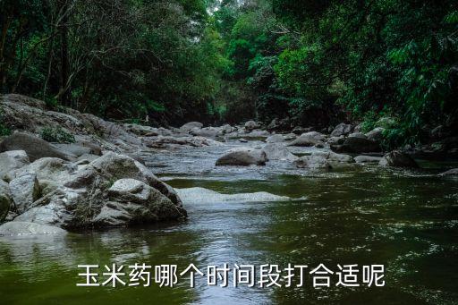 玉米藥哪個時間段打合適呢