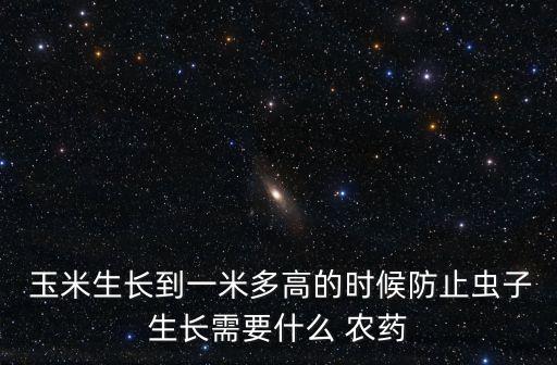 玉米生長到一米多高的時候防止蟲子生長需要什么 農(nóng)藥