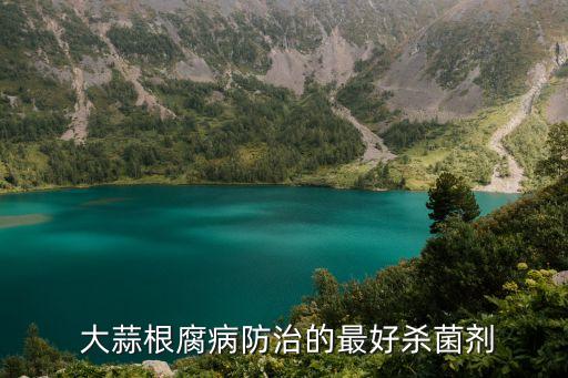 大蒜用什么農(nóng)藥殺死害蟲,大蒜地下害蟲用什么農(nóng)藥好