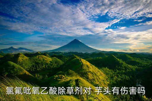 氯氟吡氧乙酸除草劑對 芋頭有傷害嗎