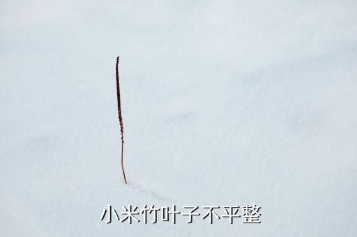 小米卷葉打什么農藥,小米賬號問題打什么電話