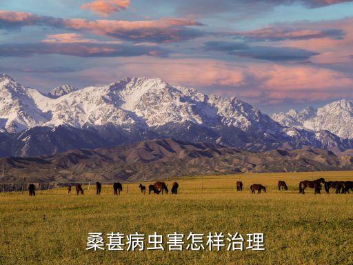 桑樹用什么農(nóng)藥可殺死,桑樹結(jié)果時打什么農(nóng)藥