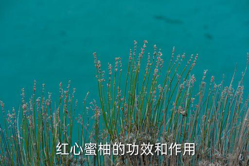 紅心柚施什么農藥防蟲子