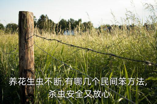 養(yǎng)花生蟲不斷,有哪幾個(gè)民間笨方法, 殺蟲安全又放心