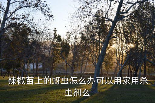 辣椒秧苗打什么農(nóng)藥防蟲,秧苗期間噴什么農(nóng)藥好
