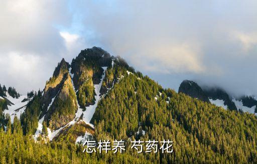 怎樣養 芍藥花