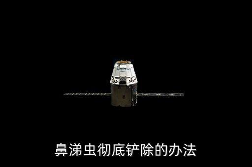 鼻涕蟲徹底鏟除的辦法