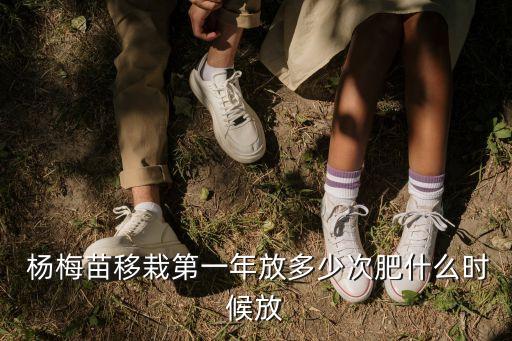 楊梅什么季節噴農藥,楊梅用什么農藥最好