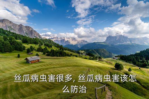 絲瓜噴什么農藥無毒的好,絲瓜有蟲打什么農藥