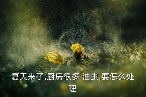 油蟲打什么農藥,蚧殼蟲用什么農藥效果好