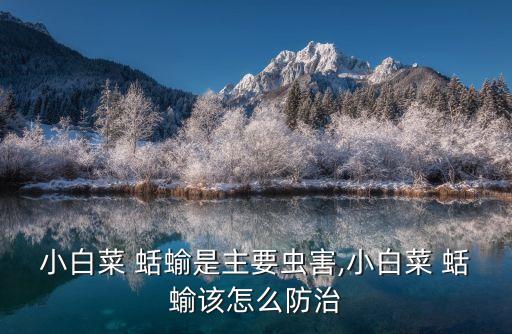 什么農藥殺蛞蝓最好,蛞蝓用什么農藥防治