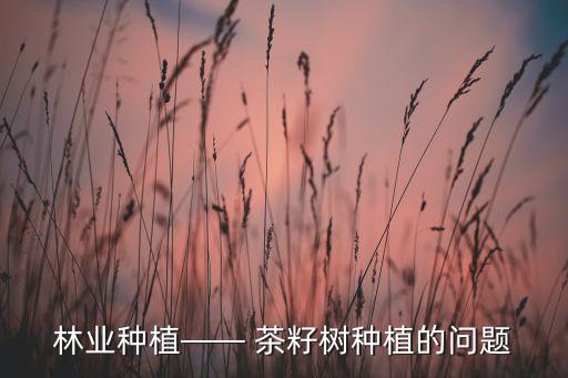 茶籽樹2月打什么農藥