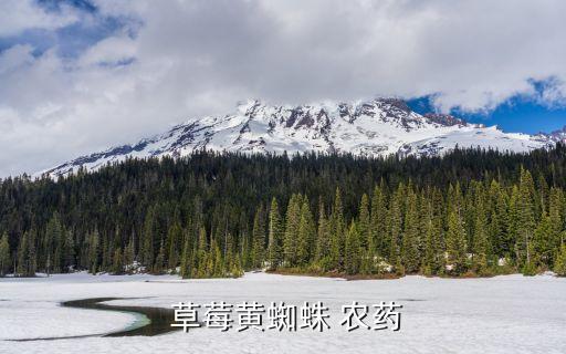 大棚草莓用什么農(nóng)藥液